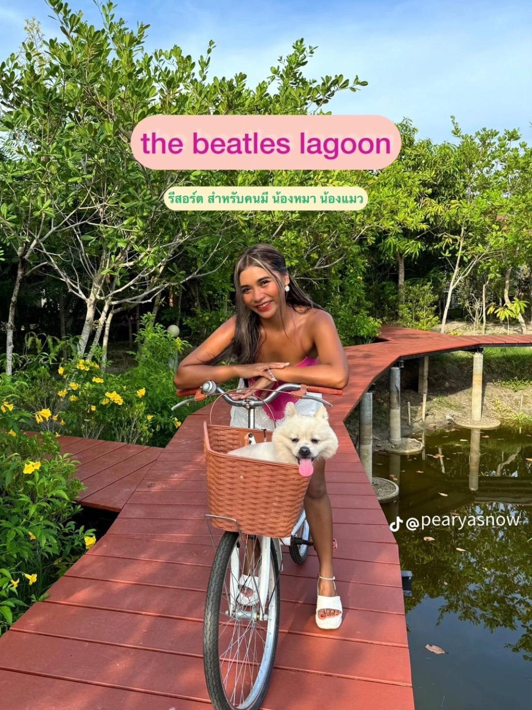 The Beatles Lagoon 查龙 外观 照片